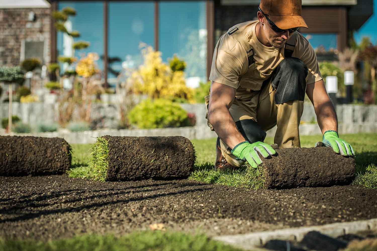 Dallas Gardener and Landscaper