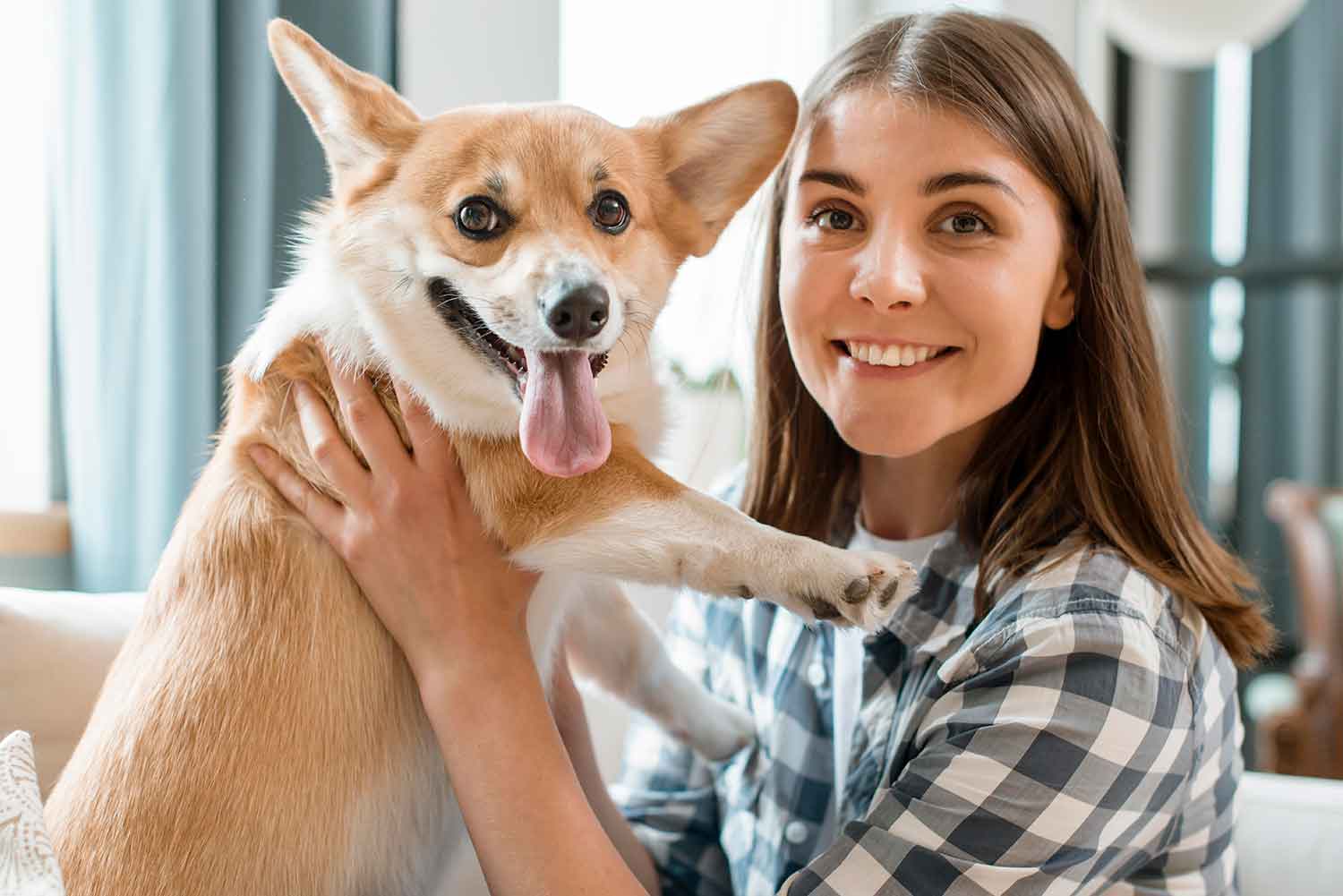 Denver Pet Nannies