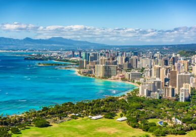 hawaii_household_staffing